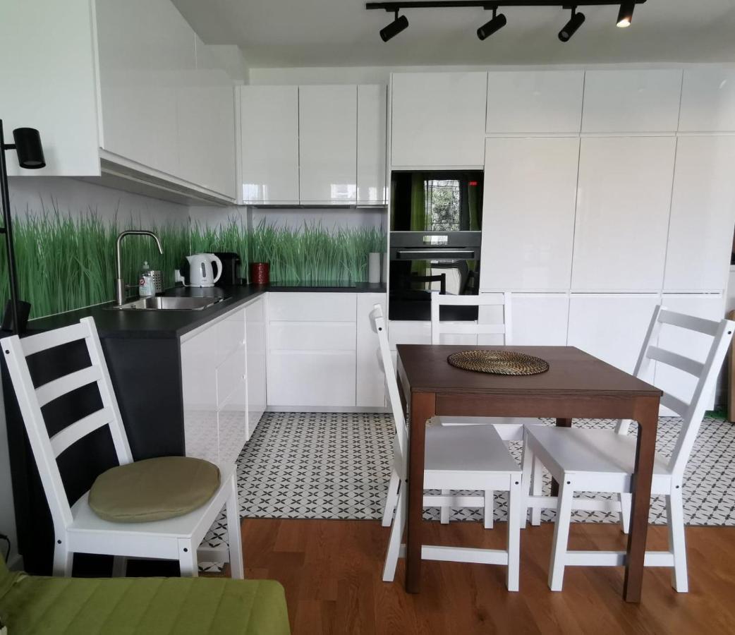 Apartment Anielewicza *